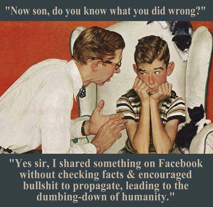A father berates his son for not checking facts on Facebook before sharing a post